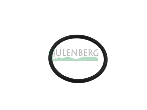 Hit cenowy CLAAS PIERŚCIEŃ-0002115070