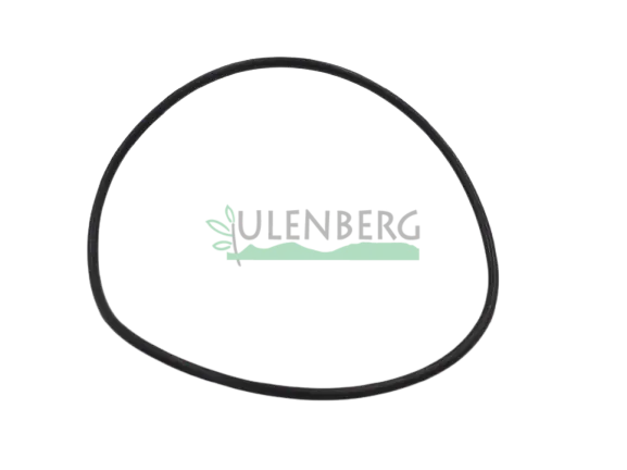 Zniżka CLAAS PIERSCIEŃ-0002122050