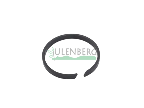 CLAAS PIERŚCIEŃ-0002129380 Kup online