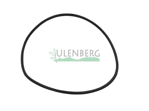 Najlepsza cena CLAAS PIERSCIEŃ-0002157890