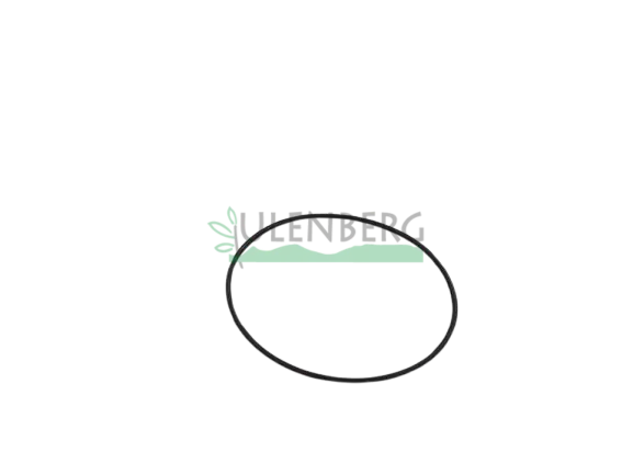 Dostępne od ręki CLAAS PIERSCIEŃ-0002167160