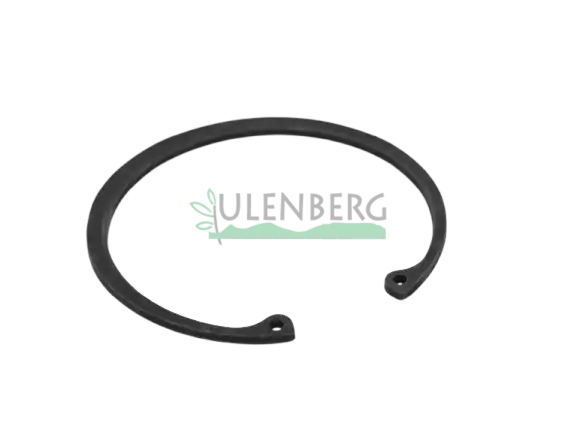Niska cena CLAAS PIERŚCIEŃ-0002351930