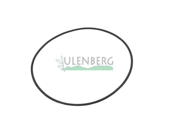 Szybka wysyłka CLAAS PIERŚCIEŃ-0002388340