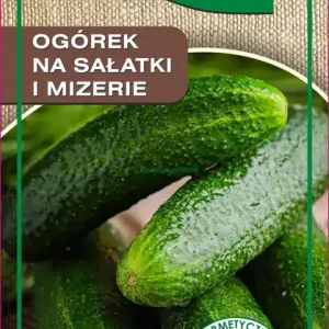 BOPON - OGÓREK NA SAŁTAKI I MIZERIE (ODM. DELIKATE) - NASIONA 2G Popularny