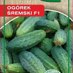 BOPON - OGÓREK ŚREMSKI F1 - NASIONA 4G Zniżka