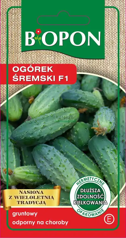 BOPON - OGÓREK ŚREMSKI F1 - NASIONA 4G Zniżka