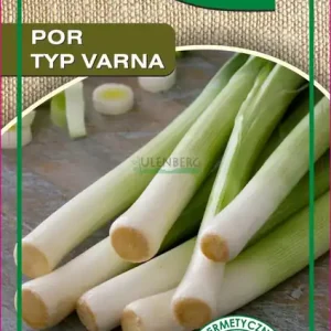 BOPON - POR BULGAARSE REUZEN - TYP VARNA - NASIONA 1G Kup teraz