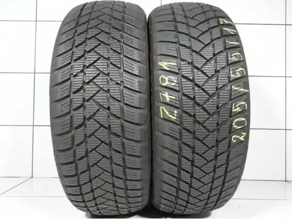 Wybór klientów GT RADIAL WINTER PRO2 205/55R17 95 H