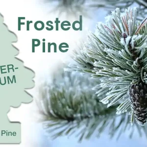 Odświeżacz Wunder Baum - Frosted Pine Ostatnie sztuki