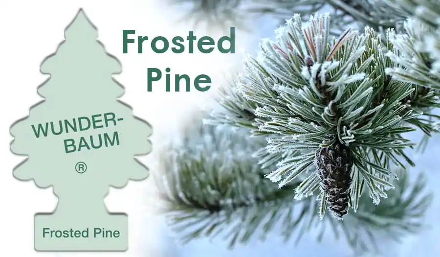 Odświeżacz Wunder Baum - Frosted Pine Ostatnie sztuki